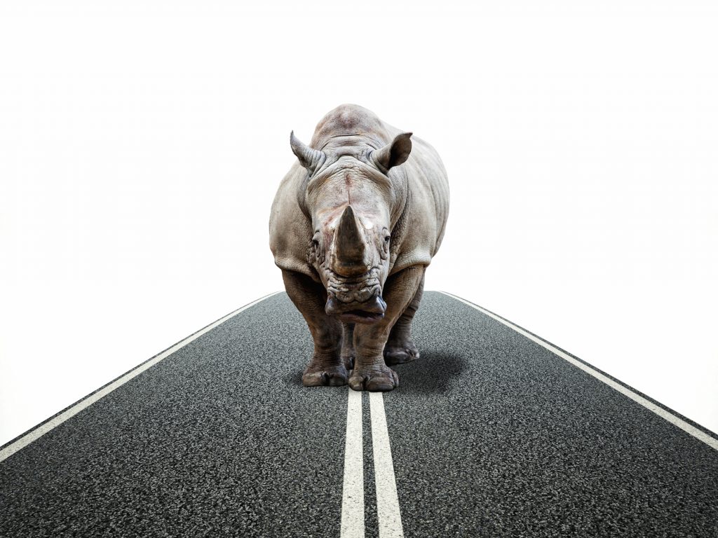 Talk about the “gray rhino” in the room: how banks can (and should) prepare  customers for the next crisis