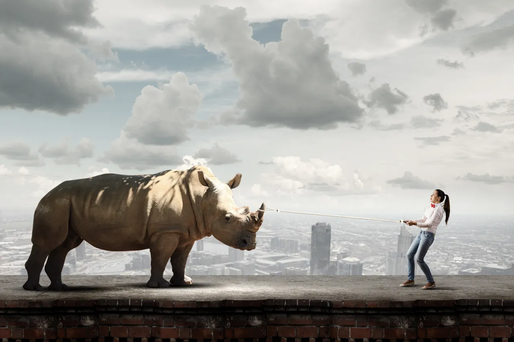 A person holding and pulling a rope tied to a rhino's horn. They are both standing on top of a brick wall and the backdrop is a landscape with buildings and a partly cloudy sky.